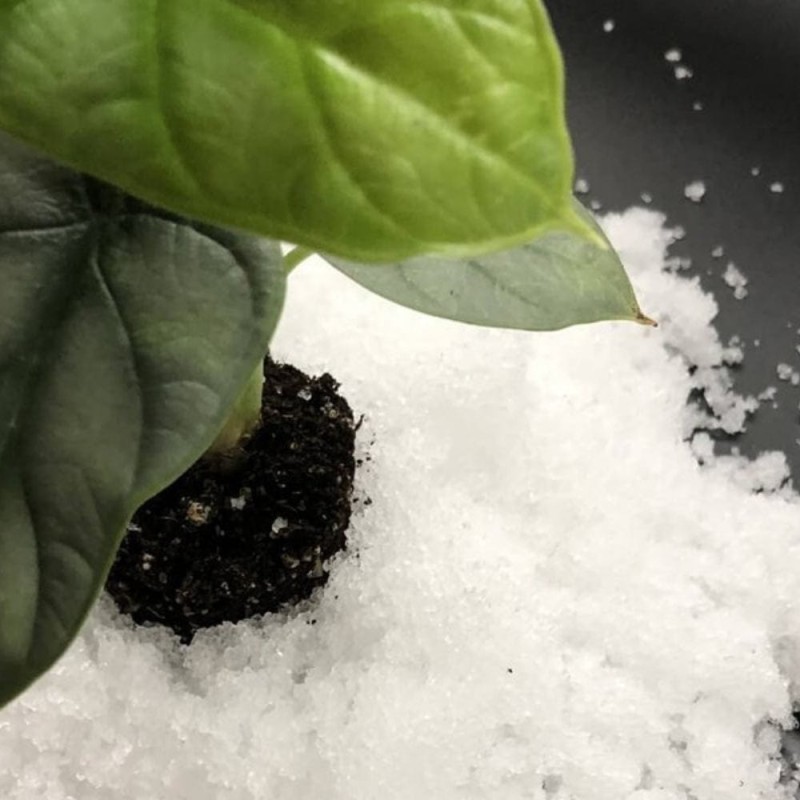 Hydrożel ogrodniczy - ochrona przed suszą - granulat 1kg (3).jpg