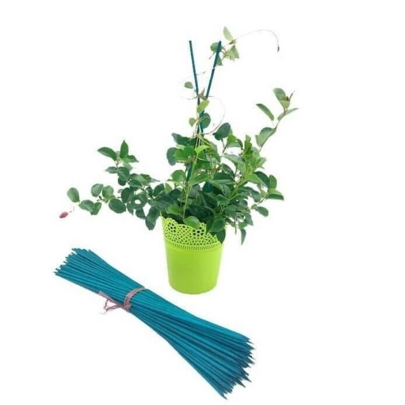 Podpora do roślin (tyczka bambusowa) Bambus łupany zielony 35cm:4mm. 10 szt. (4).jpg