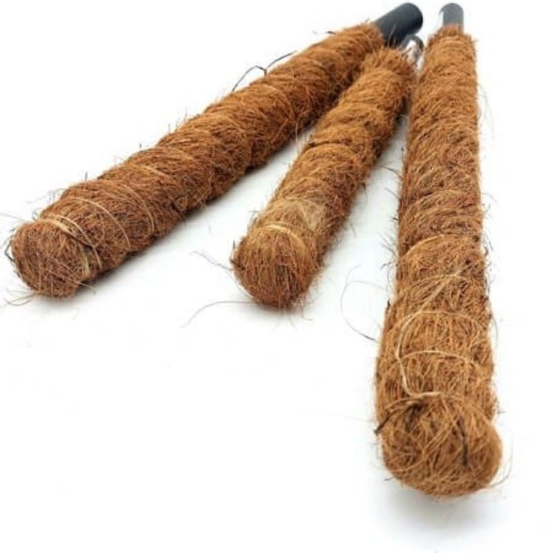 Palik kokosowy tyczka - podpora do roślin 100 cm x 25 mm - 1 szt. (2).jpg
