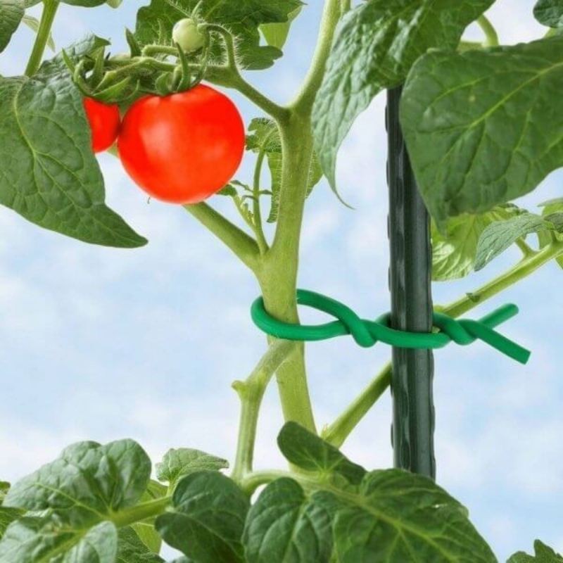 Drut ogrodniczy w miękkiej otulinie 5m x 1cm - 1szt. (4).jpg