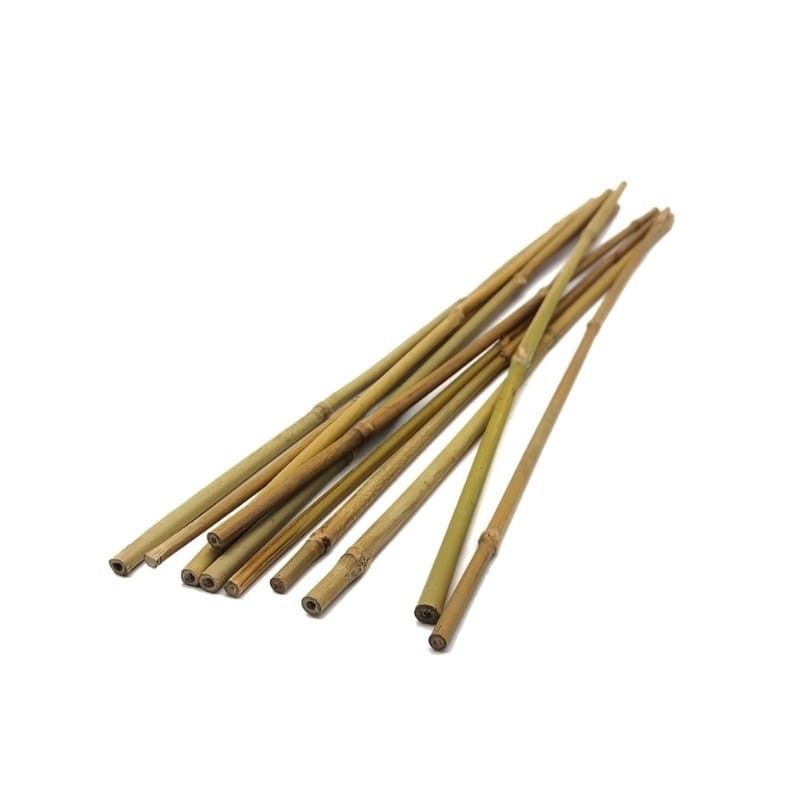 Tyczki bambusowe - podpory do roślin 75cm x 8:10mm. 10 szt. (1).jpg