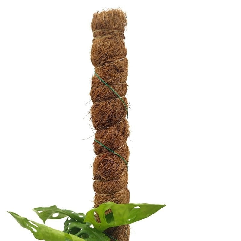 Drut ogrodniczy okrągły 50 m x 0,8 mm - 1szt. (3).jpg