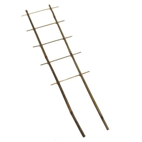 Drabinka bambusowa - podpora do roślin 60 cm - 1 szt.
