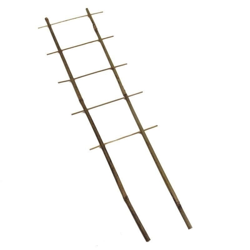 Drabinka Bambusowa - podpora do roślin 60 cm - 1 szt. (1).jpg