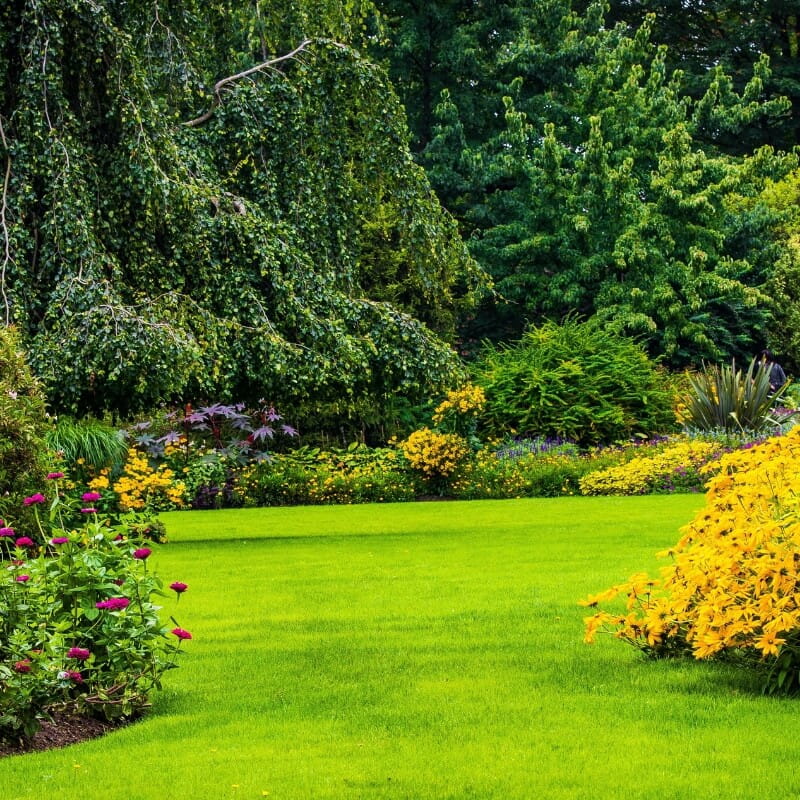 Compo Nawóz do trawników zniszczonych nawóz (3).jpg