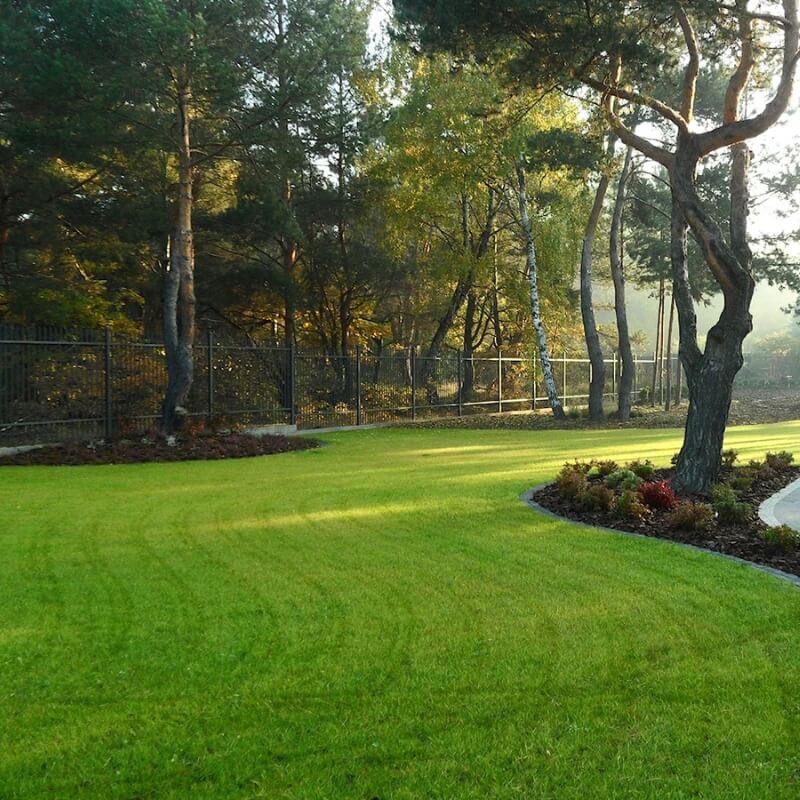 Compo Nawóz do trawników z mchem nawóz (3).jpg