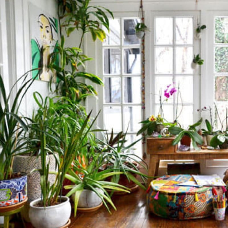 Biosept Activ Spray 750ml nawóz (3).jpg