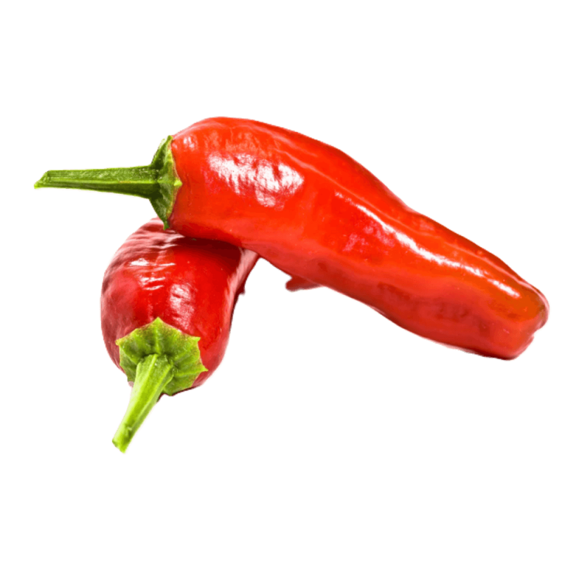 Papryka Słodka GIGANT MARCONI.png