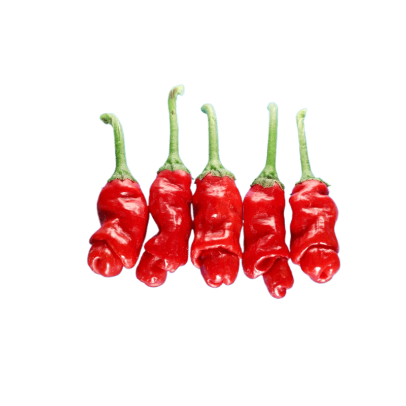 Papryka ostra PAPRYFIUTKI (1).png