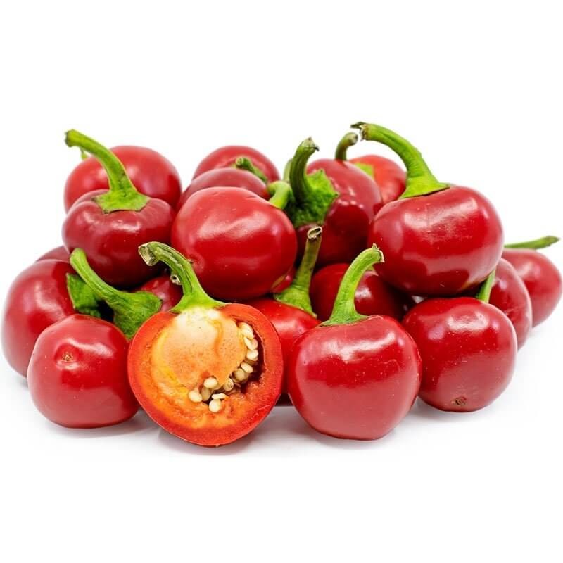 Papryka ostra KORAL (1).jpg