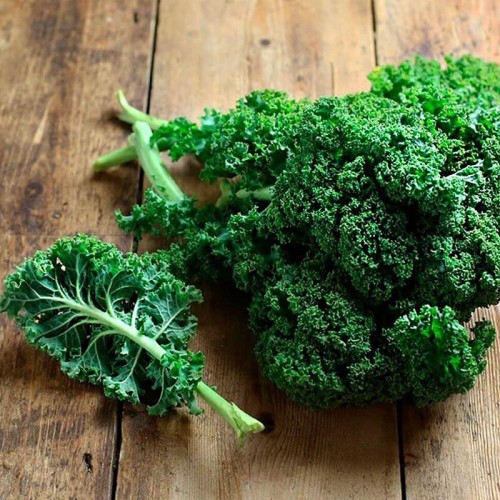 Jarmuż zielony  (Rozsada warzyw) sadzonka 6-pak