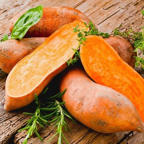 Batat - słodki Ziemniak (Rozsada warzyw) sadzonka P8