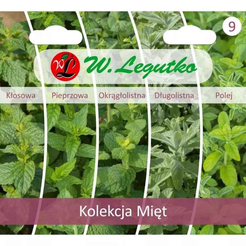 Kolekcja Mięt (zestaw 5 odmian) nasiona (2).jpg