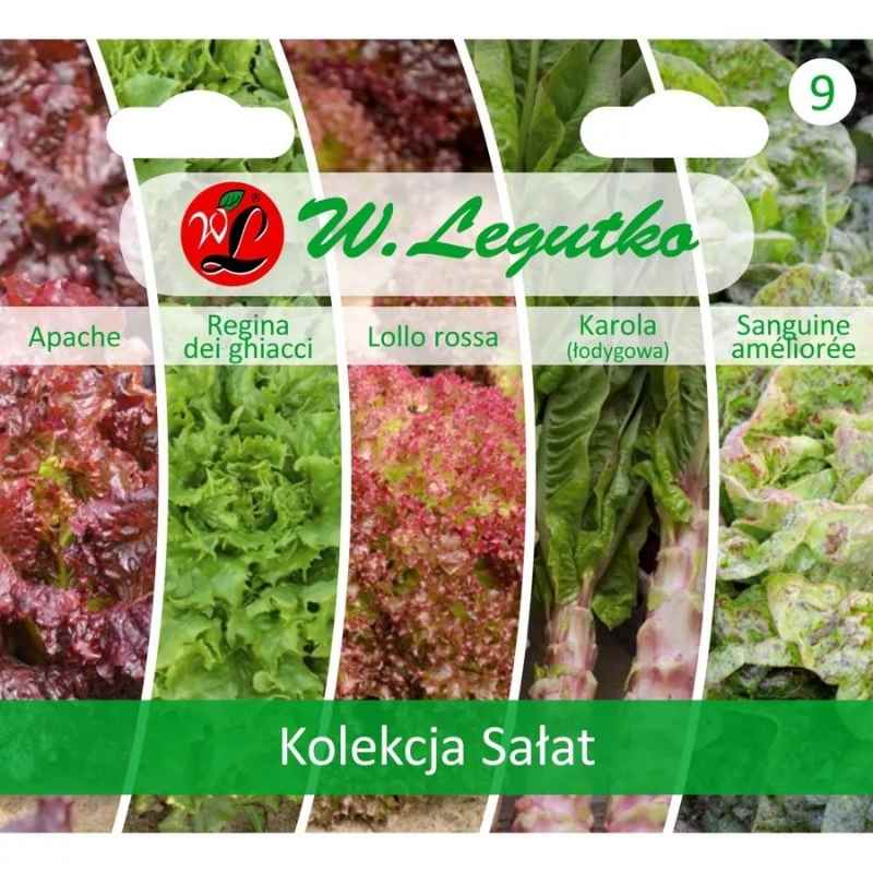 Kolekcja Sałat (zestaw 5 odmian) nasiona (2).jpg