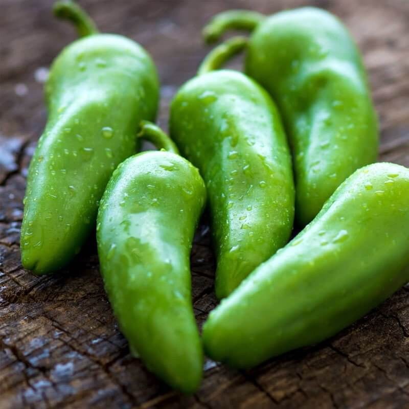 Papryka ostra JALAPENO TAM Zielona (3).jpg