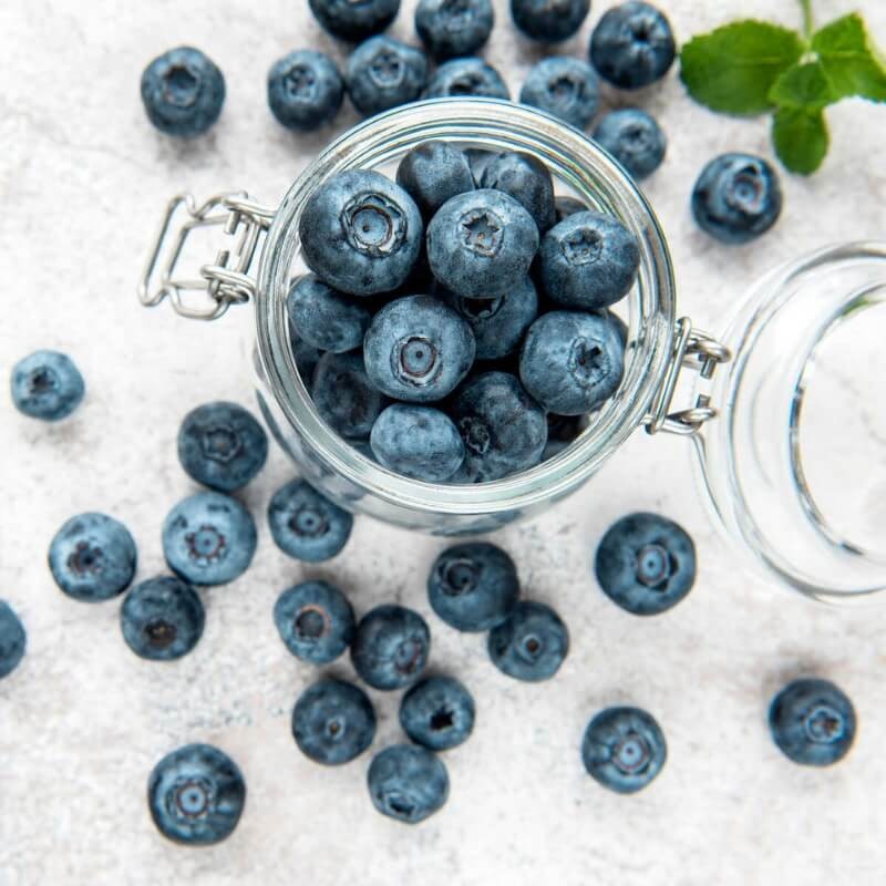 Ekologiczny Nawóz z owczej wełny do Borówek i Jagód COMPO BIO 750g nawozy (4).jpg