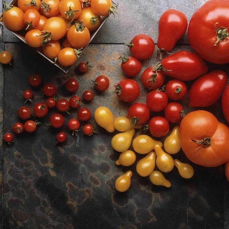 Ekologiczny Organiczny Nawóz z owczej wełny do Pomidorów COMPO BIO 750g nawozy (4).jpg