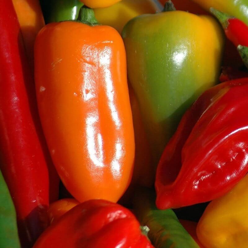 Papryka ostra JALAPENO ORANGE nasiona (3).jpg