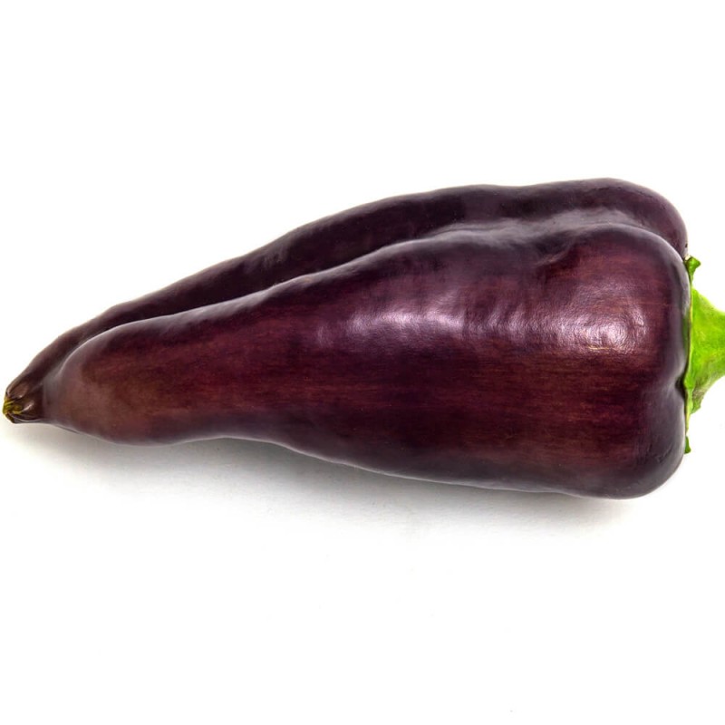 Papryka ostra JALAPENO Fioletowa (1).jpg