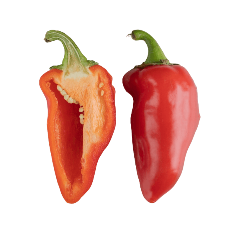 Papryka Ostra CYKLON (1).png