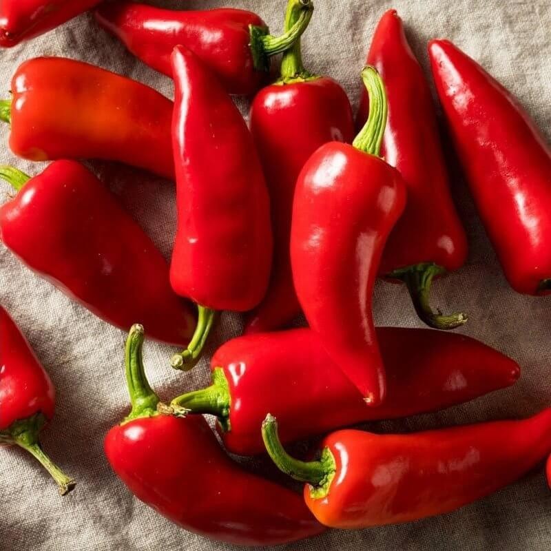 Papryka Ostra CYKLON (2).jpg