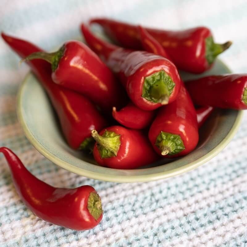 Papryka Ostra CYKLON (3).jpg