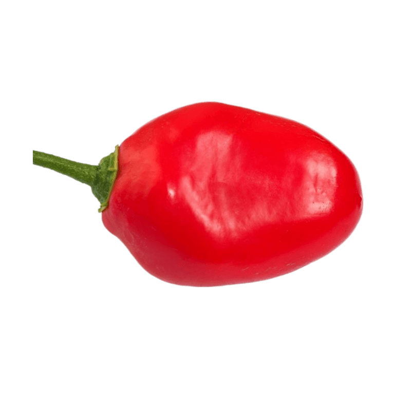 Papryka Chili GIANT ROCOTO (1).png