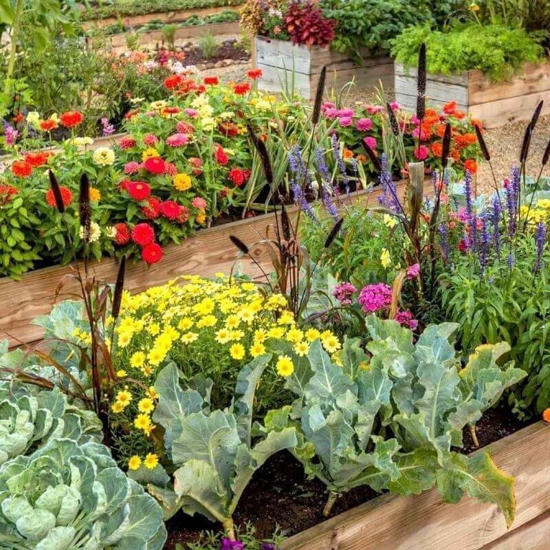 Sumin nawóz uniwersalny ogrodowy 1kg nawozy (4).jpg