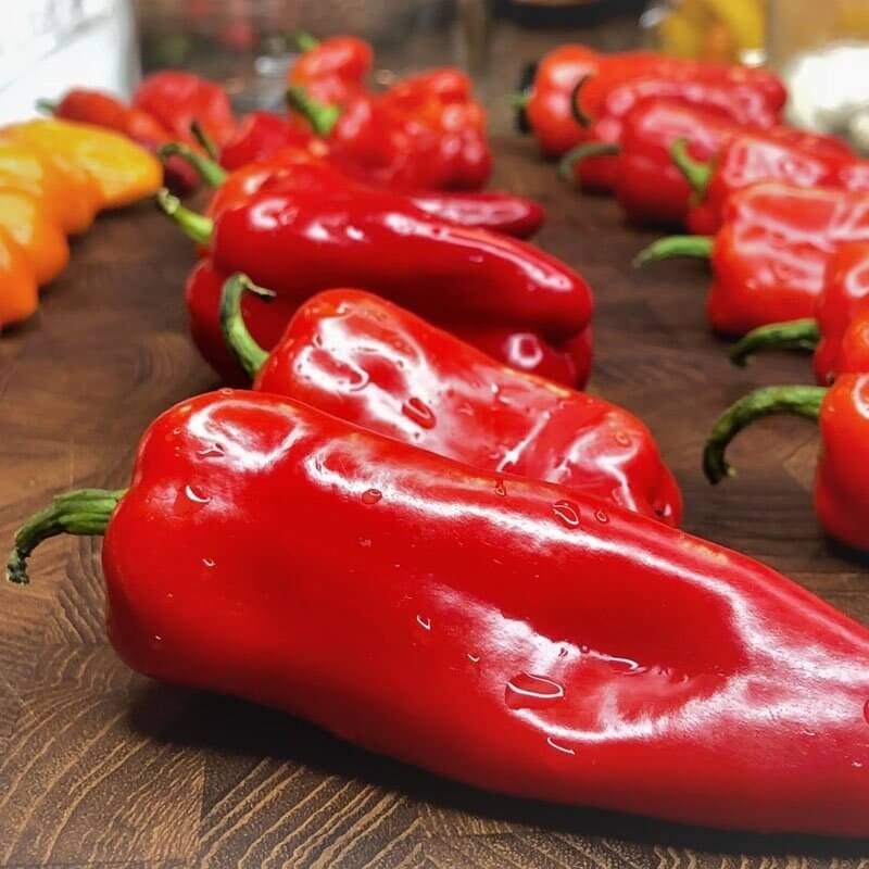 Papryka Chili ANAHEIM (1).jpg