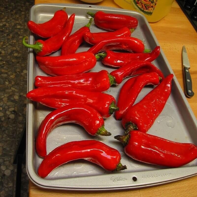 Papryka Chili ANAHEIM (3).jpg