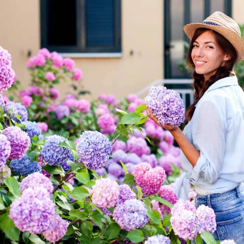 Agrecol Nawóz do róż 100 dni 1,5kg nawozy (4).jpg