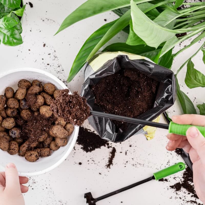 Spray do przesadzania roślin ZDROWY KORZEŃ nawozy (4).jpg