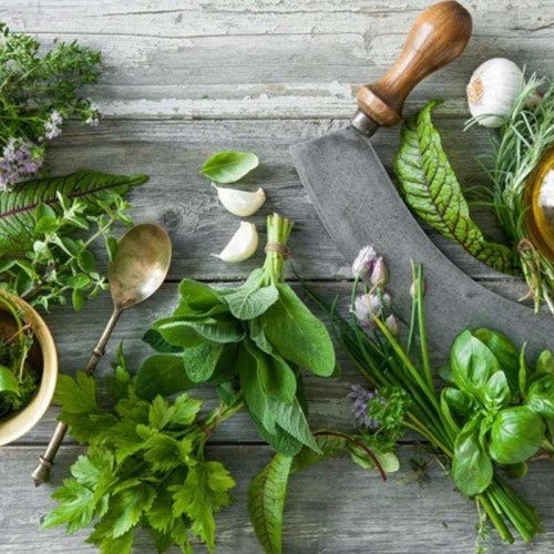 Kolekcja ziołowy relaks nasiona