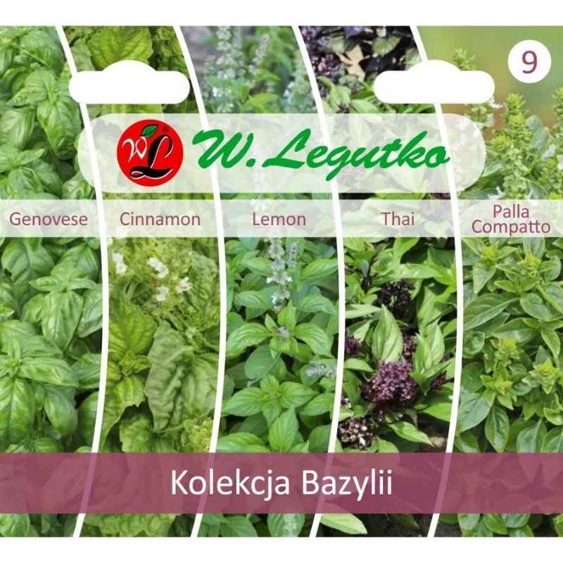 Kolekcja Bazylii (zestaw 5 odmian) nasiona (2).jpg