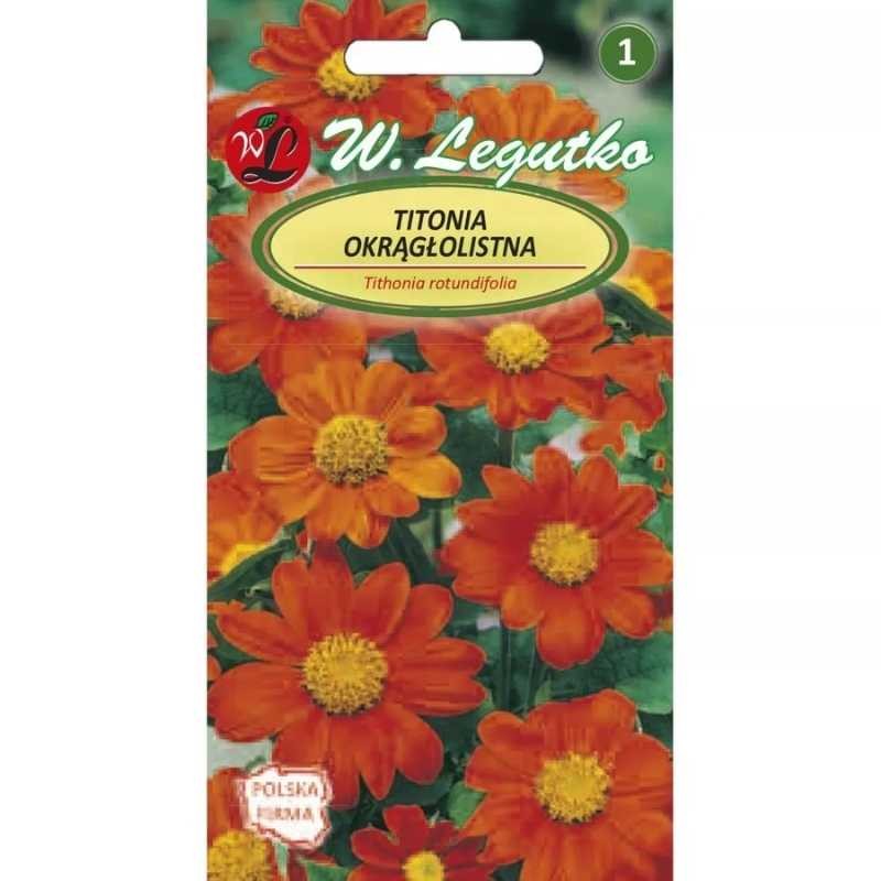 Titonia cynobrowa (Tithonia rotundifolia) nasiona 1g (2).jpg