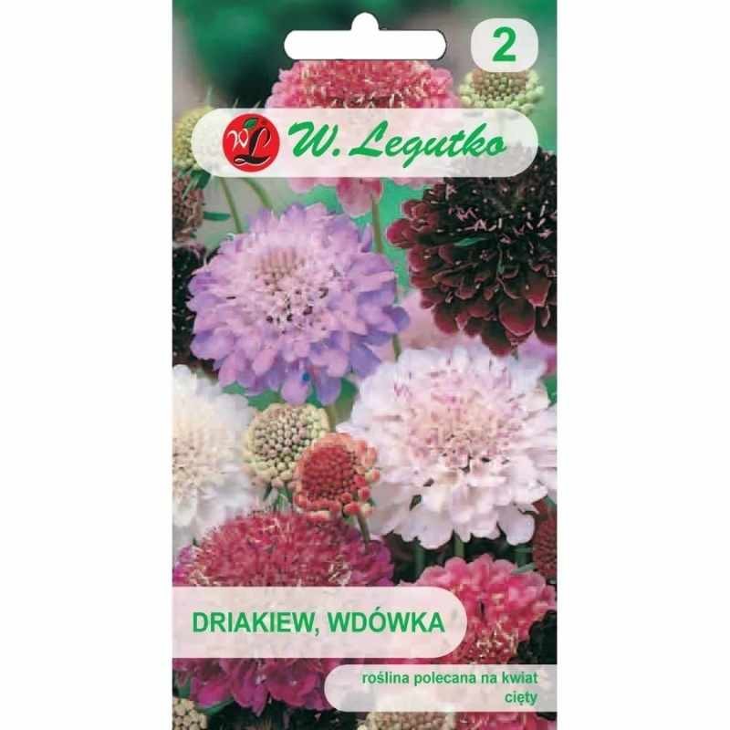 Drakiew, Wdówka nasiona 0,5g (2).jpg