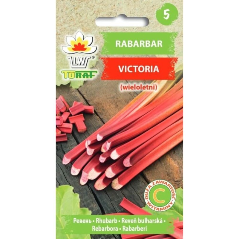 Rabarbar victoria nasiona xl (2).jpg.jpg