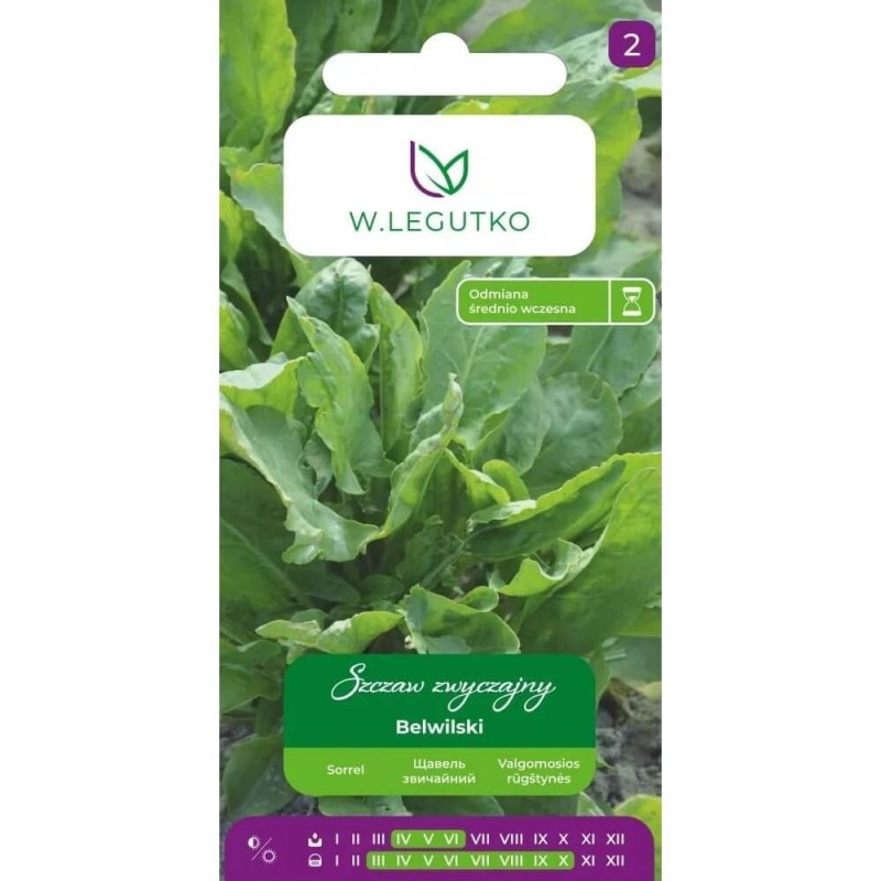 Szczaw Belwilski nasiona xxl (2).jpg