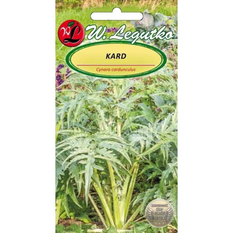 Kard Bianco Avorio Biały nasiona (3).jpg