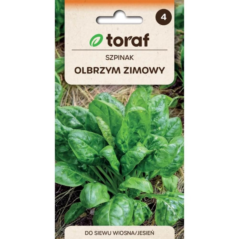 Szpinak Warzywny Olbrzym Zimowy nasiona (2).jpg
