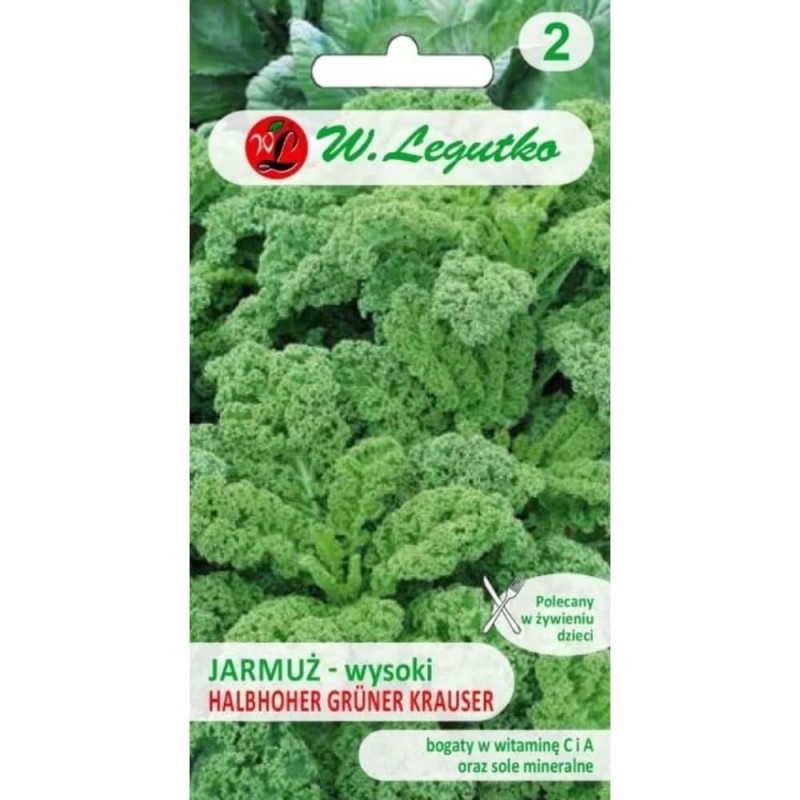 Jarmuż Halbhoher Grüner Krauser Zielony nasiona xl (2).jpg
