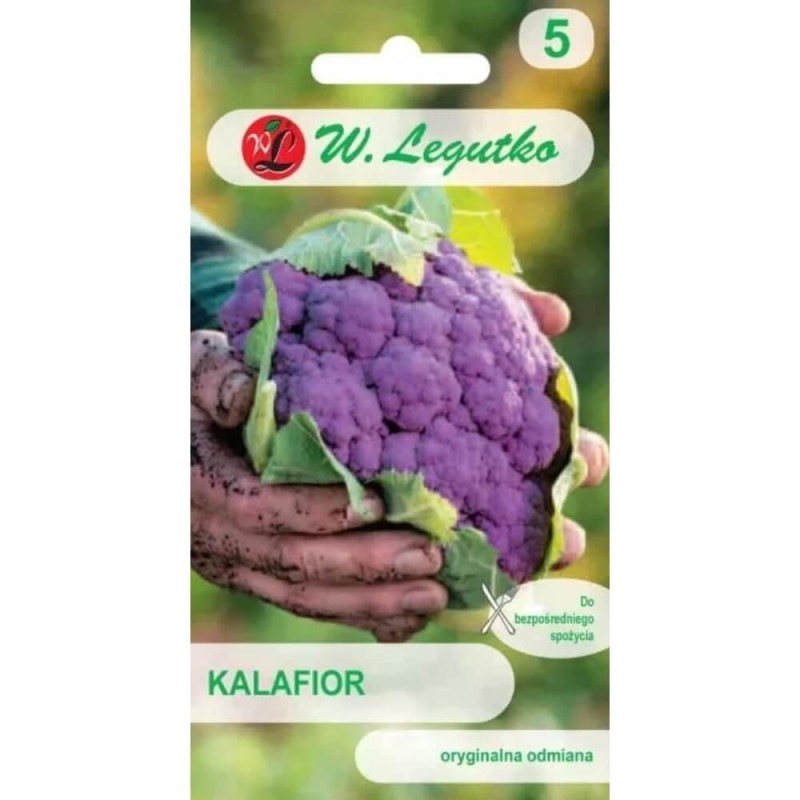 Kalafior Di Sicilia Violetto Fioletowy  nasiona (2).jpg