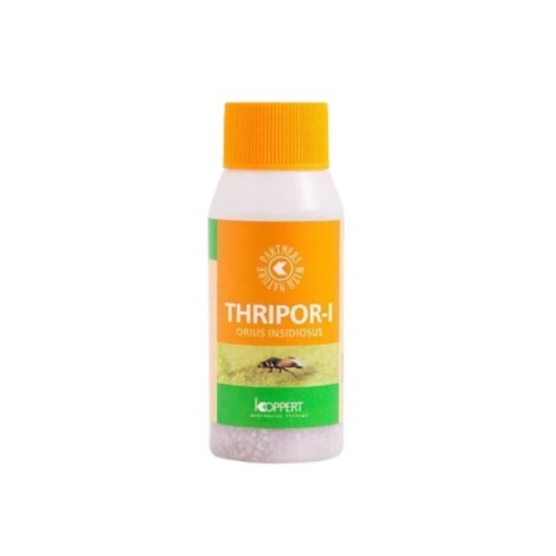 THRIPOR-L 500 dziubałeczek wielożerny 100ml