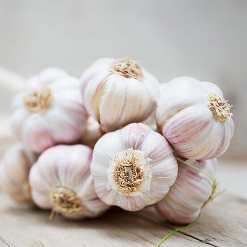 Czosnek zimowy polski Harnaś cebulki 1kg (1).jpg