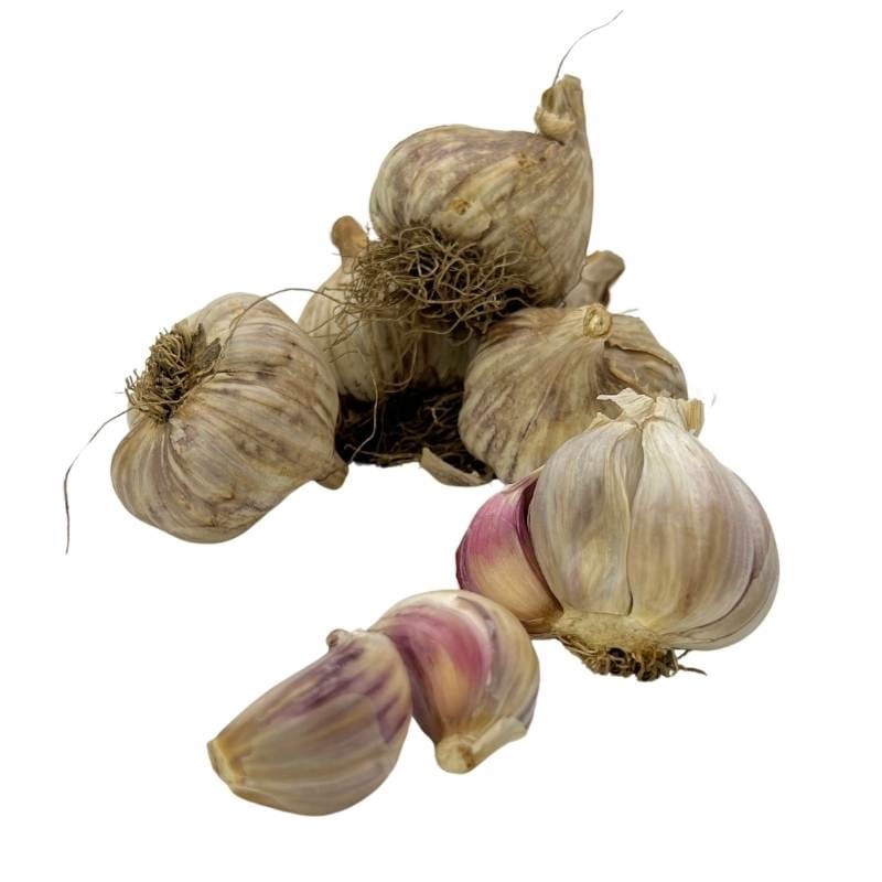 Czosnek zimowy polski Harnaś cebulki 1kg (2).jpg