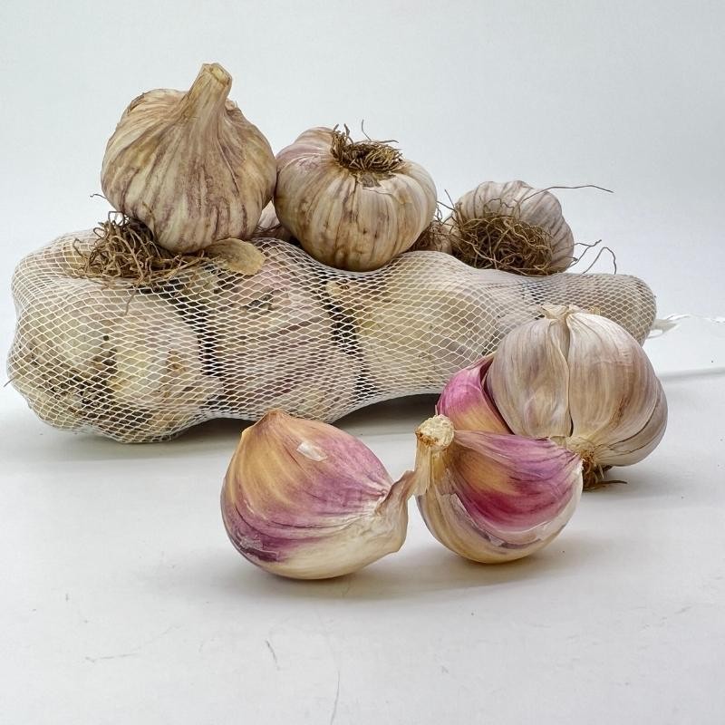 Czosnek zimowy polski Harnaś cebulki 1kg (4).jpg