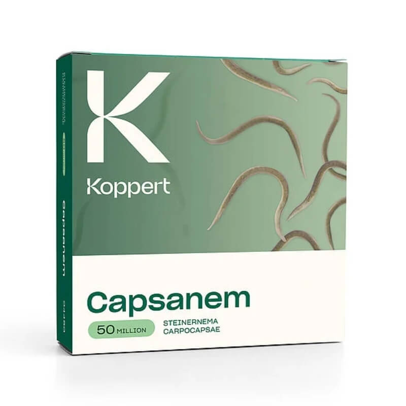 CAPSANEM 2x250 milionów nicieni (do zwalczania gąsienic, opuchlaków, turkucia podjadka) ochrona (2).jpg
