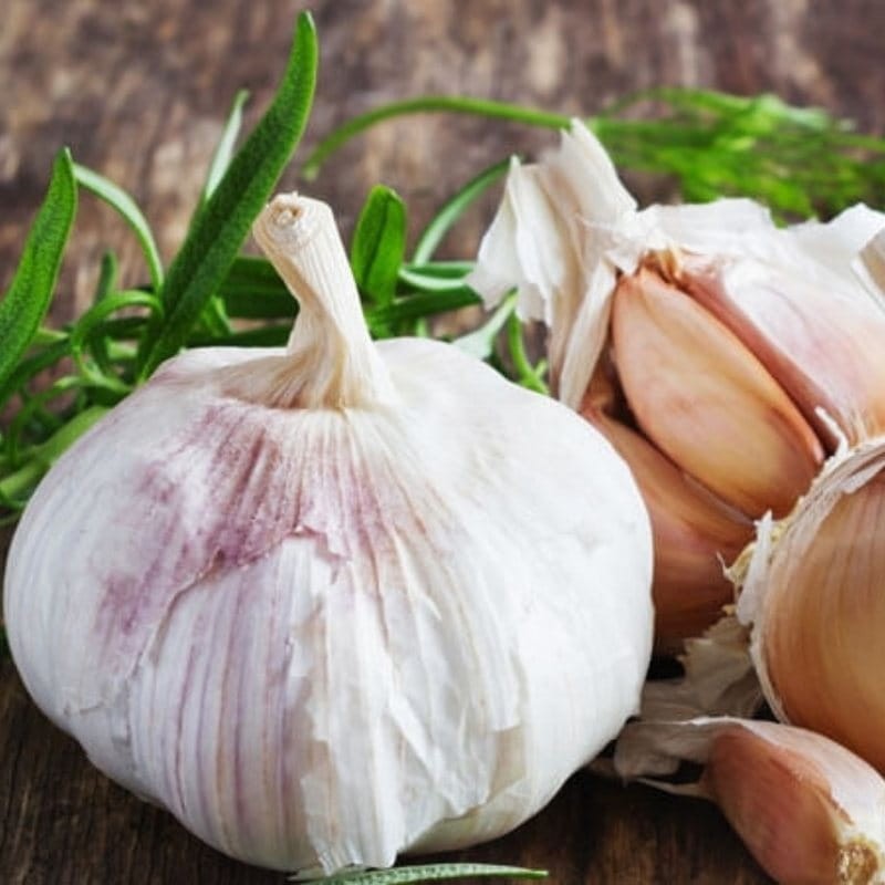 Czosnek zimowy Arkus cebulki 5:6cm - 1kg (1).jpg