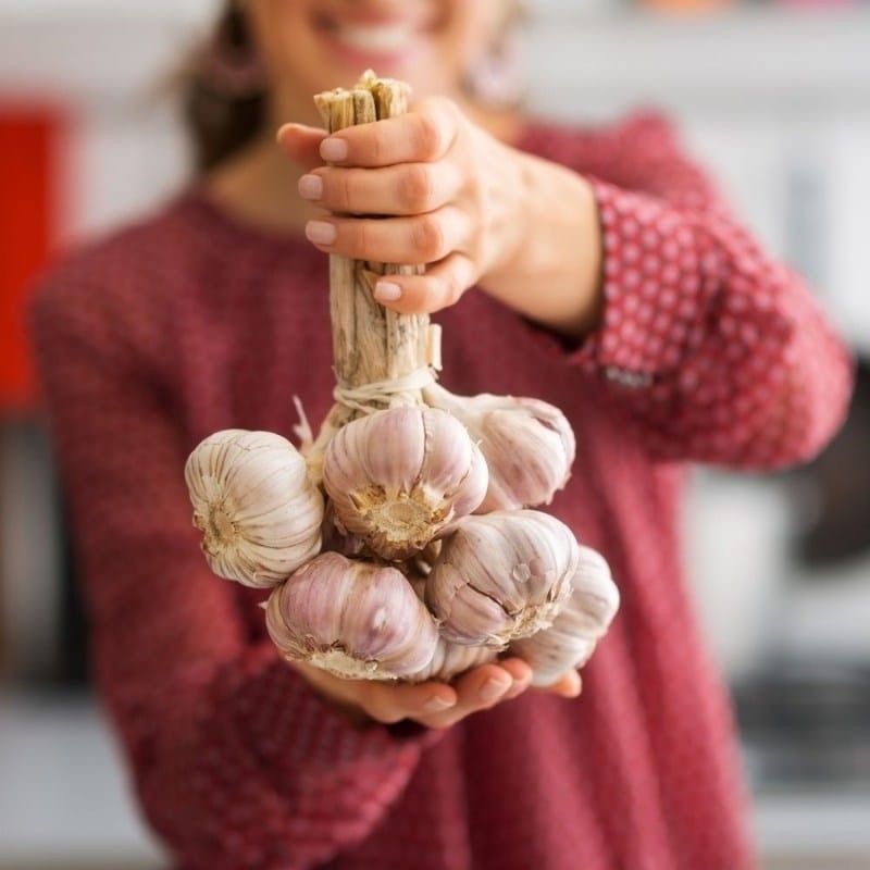 Czosnek zimowy Arkus cebulki 5:6cm - 500g (3).jpg
