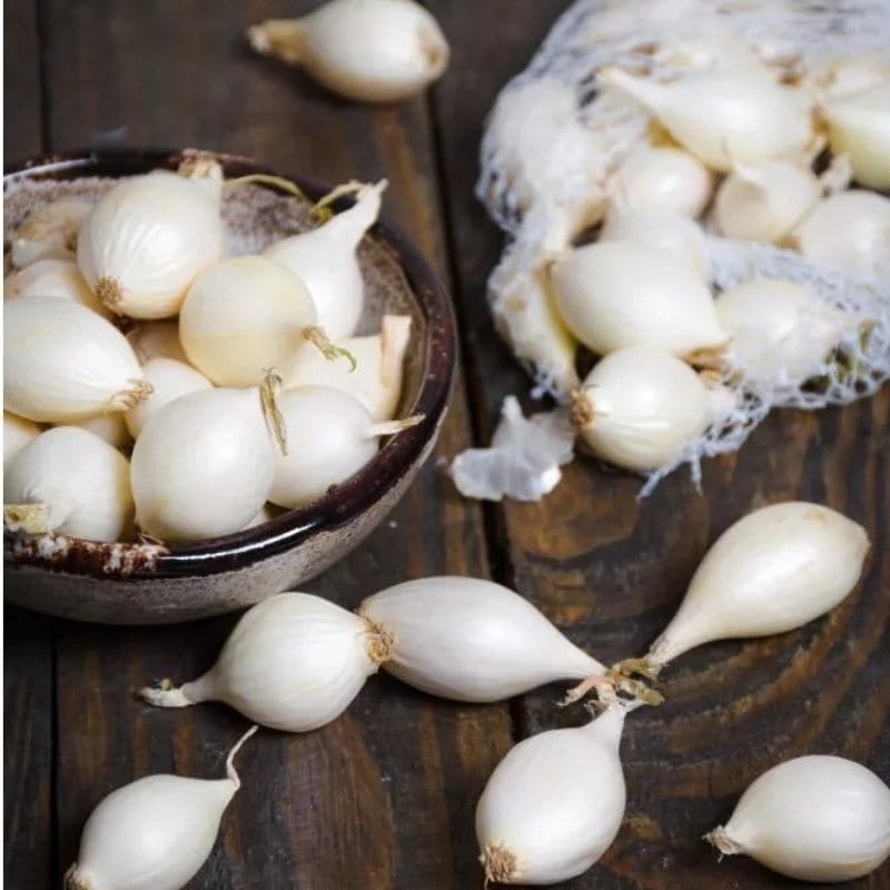 Cebula dymka snowball (14-21 mm) - odmiana średnio wczesna biała 250g (3).jpg